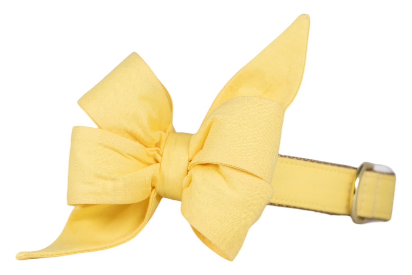 Bright yellow dog collar featuring an oversized fabric belle bow with dramatic, pointed tails and soft pleating for a voluminous effect. The cheerful bow is securely fastened to a matching yellow adjustable collar with polished hardware, creating a bold and sunny statement accessory for your pup.