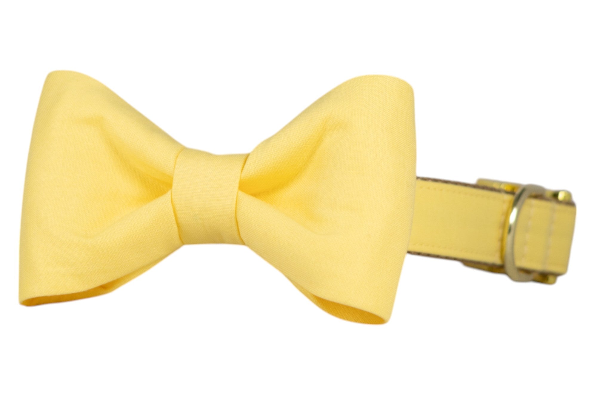 Solid yellow dog collar with a classic bow tie attached made from matching fabric. The structured bow tie is neatly centered, creating a polished and symmetrical look. Features metal hardware, including a D-ring and adjustable buckle, for a cheerful yet refined style.