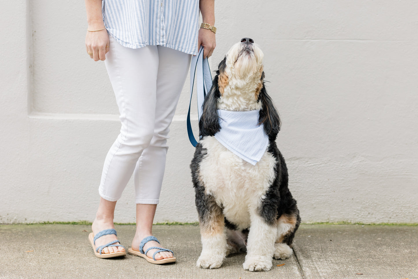 A large, fluffy black and white dog wearing a light blue and white striped seersucker bandana sits beside a person holding a matching leash. The dog's head is tilted upward, and the person is dressed in a blue and white striped shirt, white pants, and blue braided sandals, coordinating with the dog’s outfit. They are standing on a sidewalk against a light-colored wall.