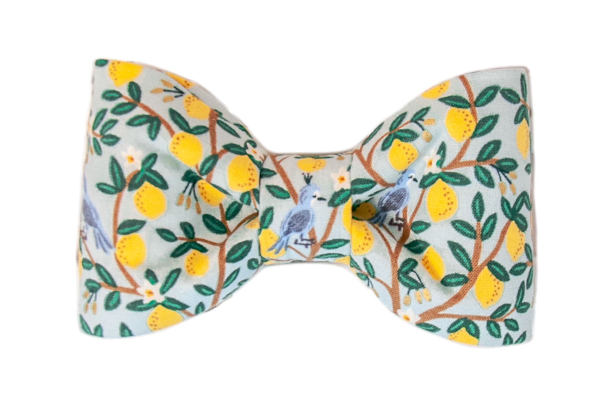 Dog bow tie crafted from light blue fabric printed with a detailed lemon grove pattern, including clusters of bright yellow lemons with orange speckles, small white blossoms, and dark green leaves connected by brown branches. At the center of the bow, two small blue birds with crested heads and black beaks are perched facing outward, adding a whimsical touch to the symmetrical design.