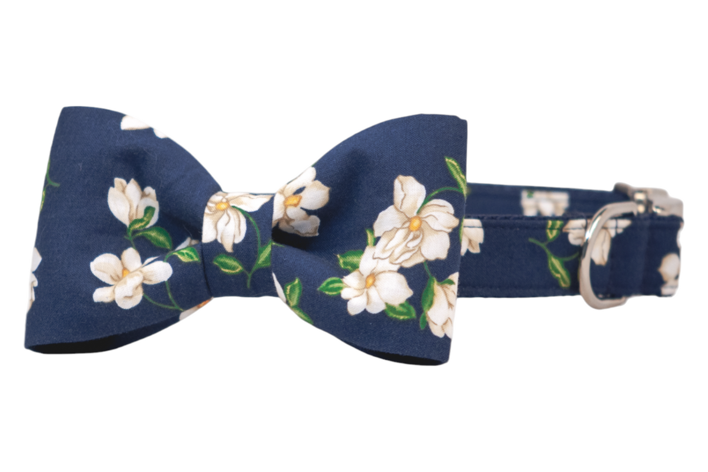 Navy blue dog collar with a classic bow tie attached, both featuring a floral print of magnolia blossoms. The structured bow tie is neatly centered and symmetrical.