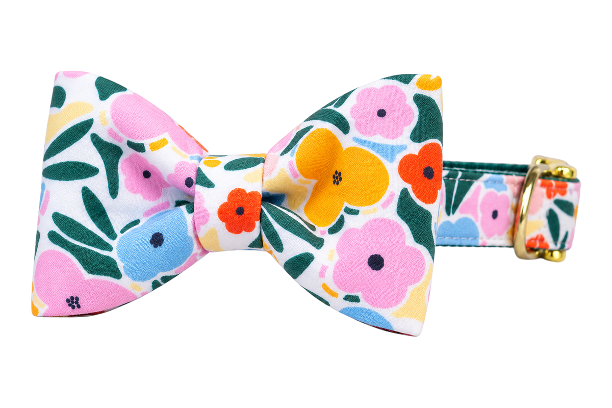 Classic dog collar featuring a Mosaic Blooms fabric bow tie, a white print with bold pink, sky blue, yellow and red-orange flowers and dark green leaves, attached to a matching Mosaic Blooms collar with a nylon inner lining and gleaming gold hardware, including a D-ring and buckle.
