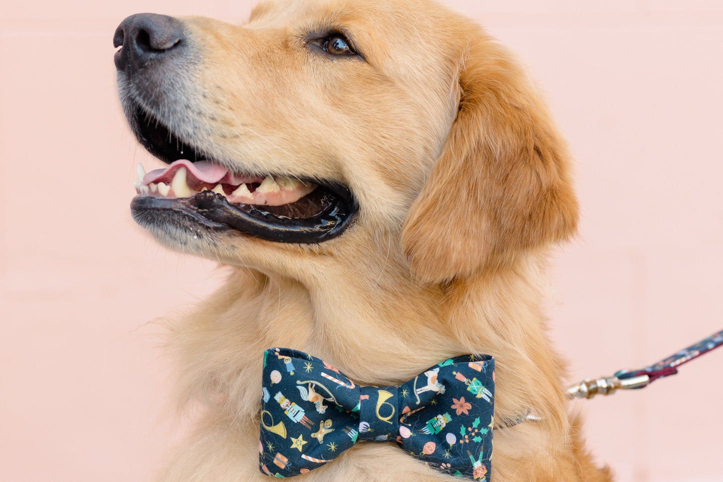 Smiling retriever wearing a navy blue bow tie dog collar with a colorful Christmas print featuring gingerbread men, ornaments, holly, stars, and nutcrackers. The dog is sitting calmly against a light background, attached to a matching leash.