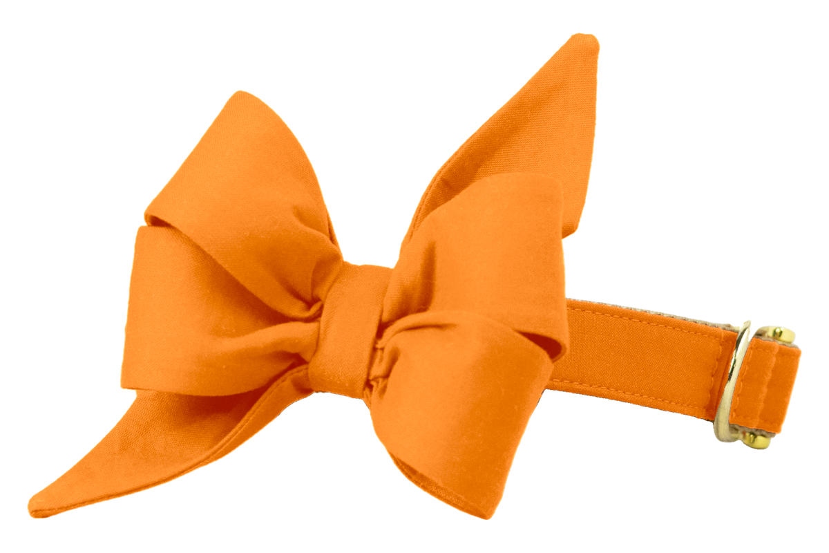 Eye-catching feminine dog collar adorned with an oversized orange belle bow in a multi-looped, flared silhouette, paired with a matching orange band and luxe gold buckle and D-ring.
