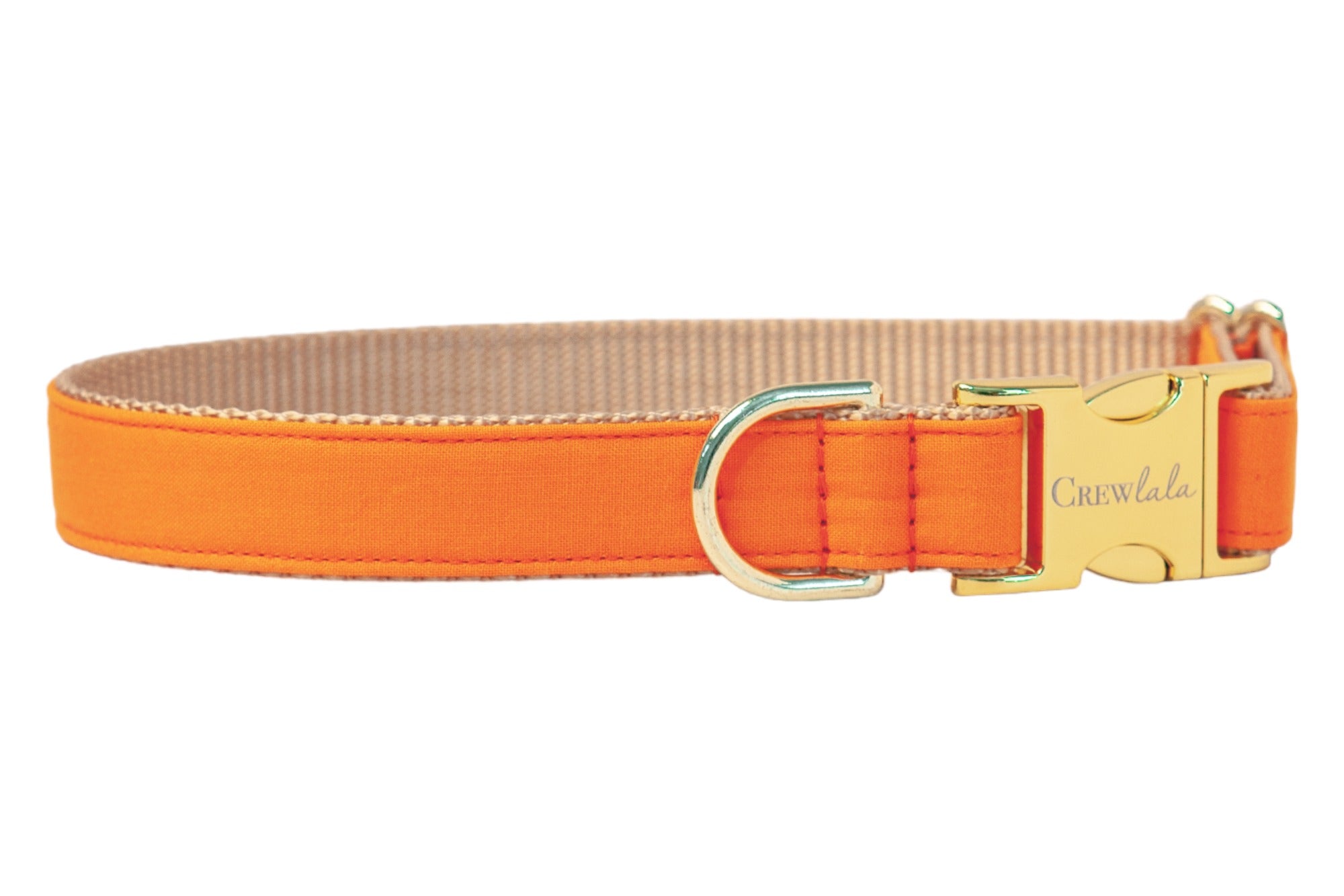 Solid orange pet collar with polished buckle and D-ring. A versatile accessory perfect for fall, Halloween, or adding a cheerful pop of color.