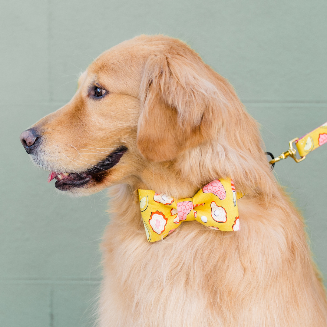 Side view of a golden retriever wearing a matching yellow leash and bow tie set, printed with fun oyster, pearl, lemon, and oyster knives illustration, in front of a green brick wall.