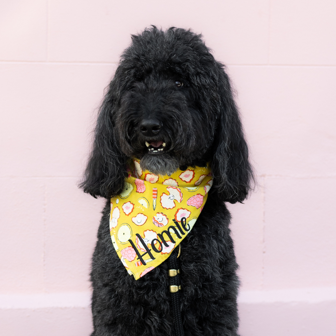 A large, black, curly-coated dog with an open mouth sits calmly against a pink wall, wearing a vivid yellow bandana with oysters, pearls, lemons, and oyster knives print. Embroidered in the corner is “Homie” in script.