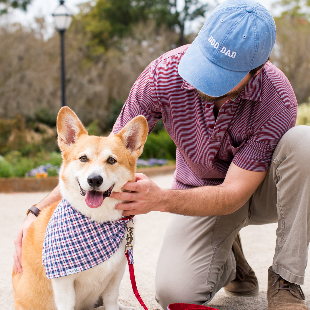 A smiling corgi dog dressed in a patriotic plaid bandana is seated next to a man crouched beside it. The man is wearing a light blue baseball cap that says “DOG DAD,” a red and navy striped shirt, and khaki pants.