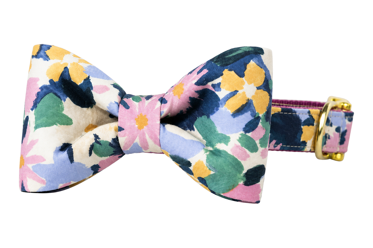 Classic dog collar featuring a Petal Pop fabric bow tie, a navy print with large painterly pink, lavender, yellow, sage and cream petals, attached to a matching Petal Pop collar with a nylon inner lining and gleaming gold hardware, including a D-ring and buckle.