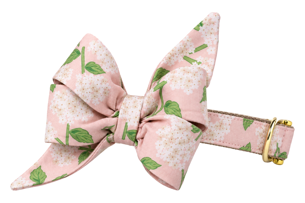 Dog collar featuring a large belle bow in Pink Hydrangeas fabric, a blush pink fabric with white hydrangea blooms and green leaves, attached to a matching Pink Hydrangeas collar with a nylon inner lining and gleaming gold hardware, including a D-ring and buckle.