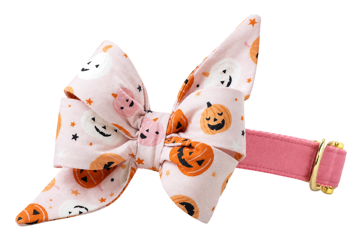 Dog collar featuring a large belle bow in Pink Pumpkins fabric, a cream print with orange jack-o'-lantern pumpkins, small white ghosts and tiny stars on a solid dusty pink band, attached to a matching Pink Pumpkins collar with a nylon inner lining and gleaming gold hardware, including a D-ring and buckle.