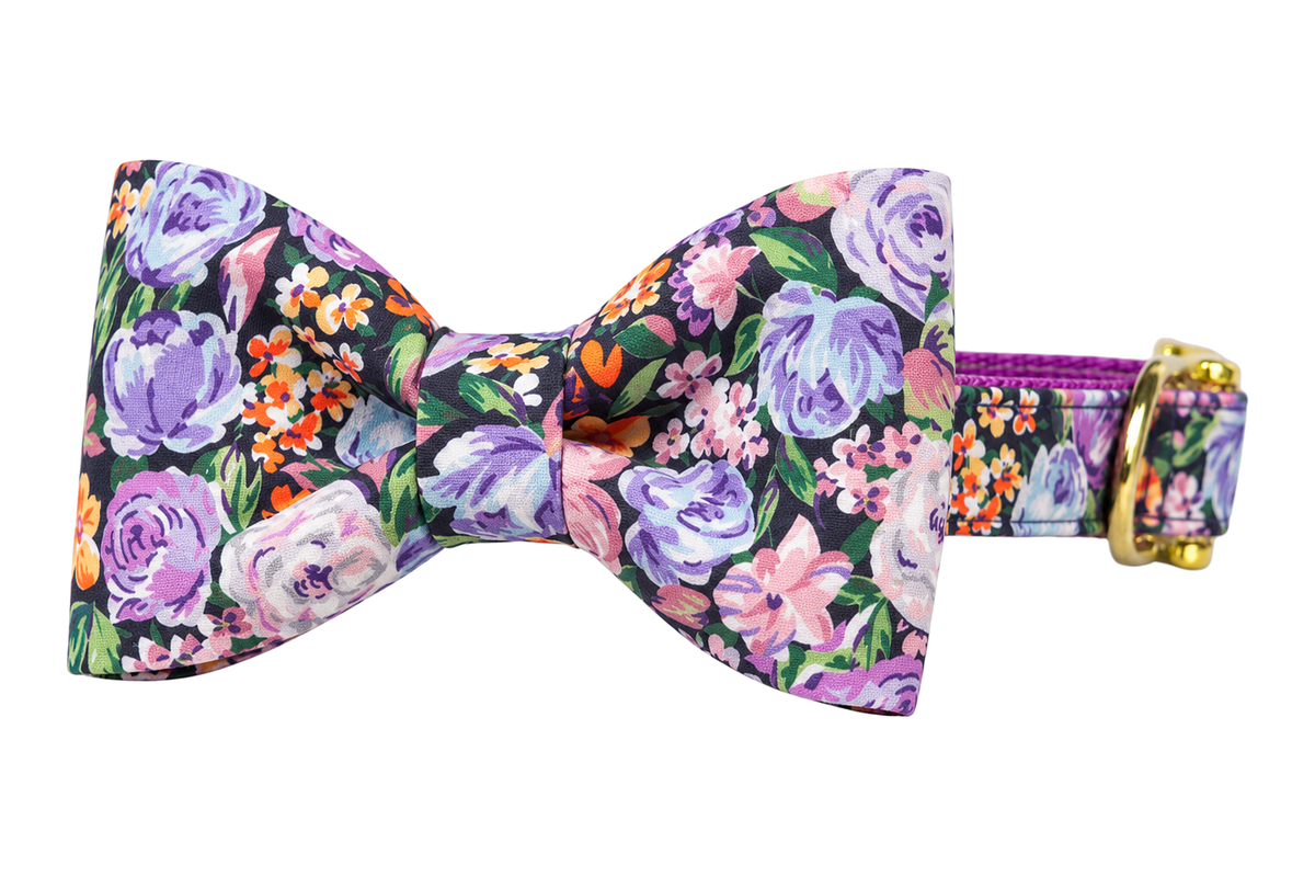 Classic dog collar featuring a Plum Perfect fabric bow tie, a black print with lavender and purple roses, orange blooms and green leaves, attached to a matching Plum Perfect collar with a nylon inner lining and gleaming gold hardware, including a D-ring and buckle.