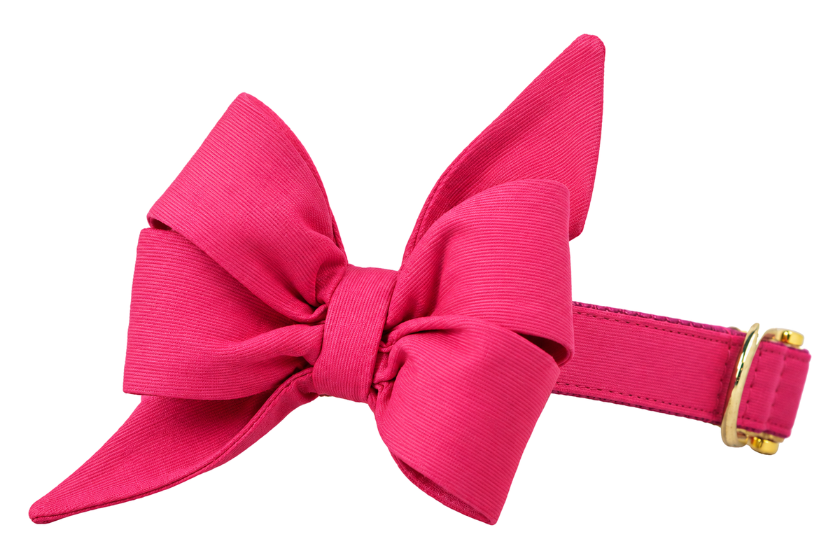 Dog collar featuring a large belle bow in Raspberry fabric, a solid raspberry hot pink, attached to a matching Raspberry collar with a nylon inner lining and gleaming gold hardware, including a D-ring and buckle.