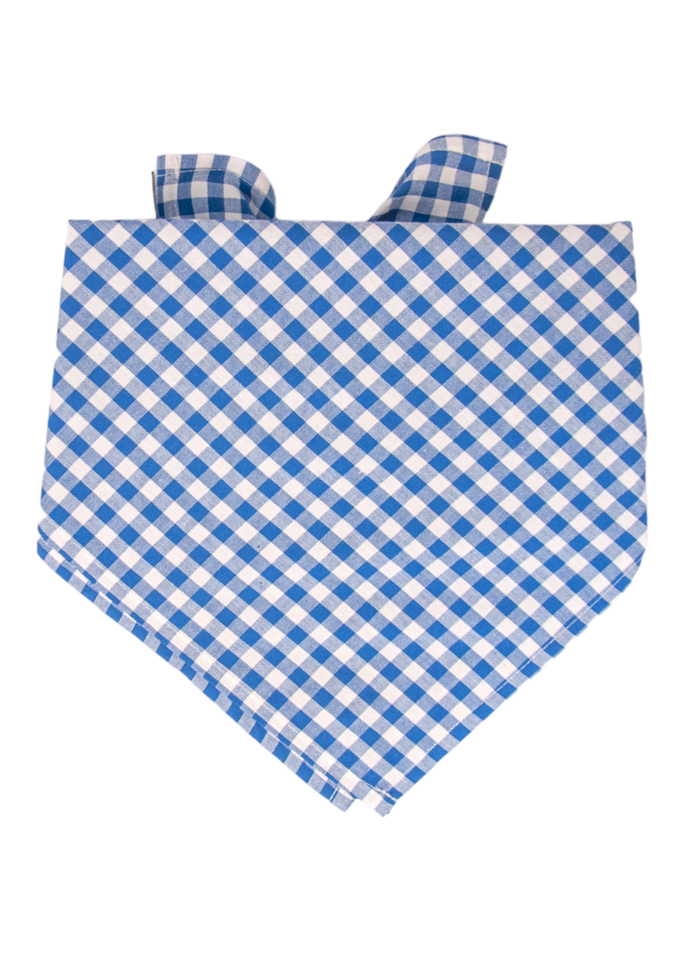 A dog bandana in a classic blue and white plaid checkered pattern. The bandana is tied at the top with visible knot ends and has a pointed lower edge, made from lightweight, woven fabric. The neat grid of small blue and white squares gives it a timeless, cheerful look.