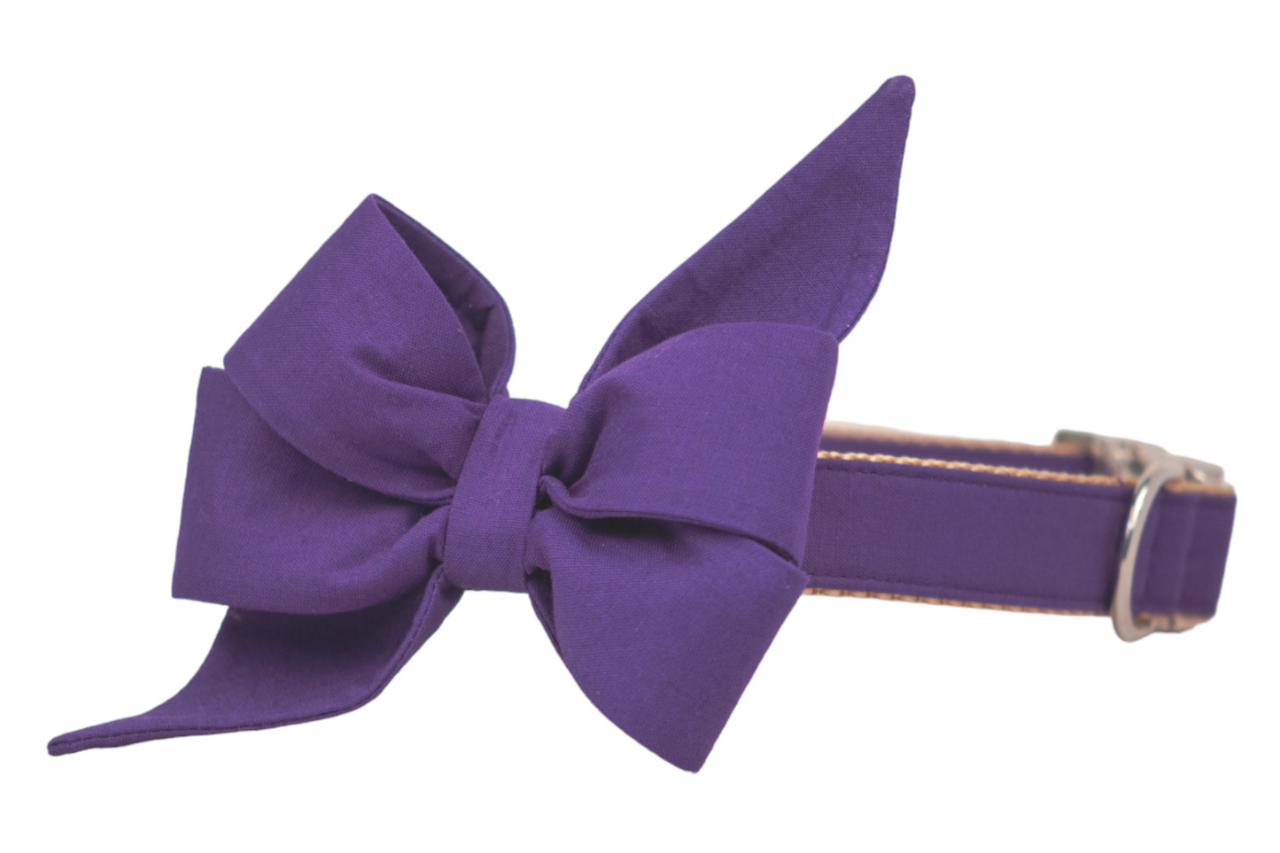 Purple dog collar with an oversized belle bow and pointed ends, a standout feminine accessory perfect for Halloween or festive occasions.