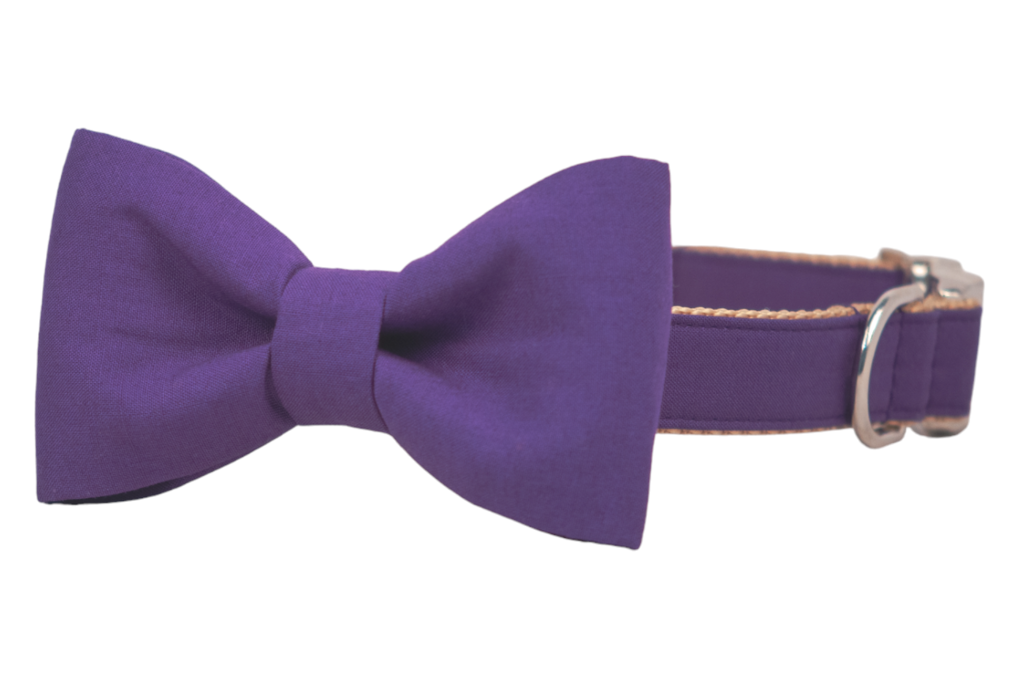 Purple bow tie dog collar with metal hardware, a stylish accessory that’s perfect for Halloween, parties, or everyday wear.