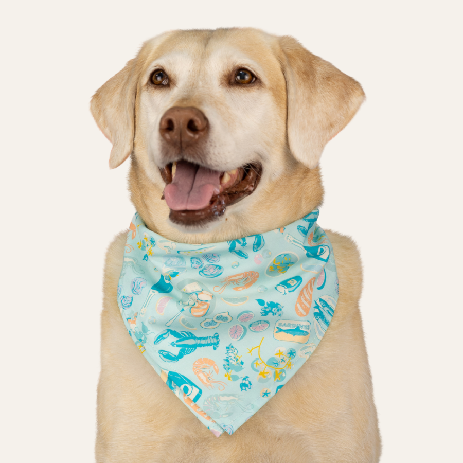 Labrador retriever posed against a neutral backdrop, panting gently while wearing a pastel blue scarf decorated with marine life designs.