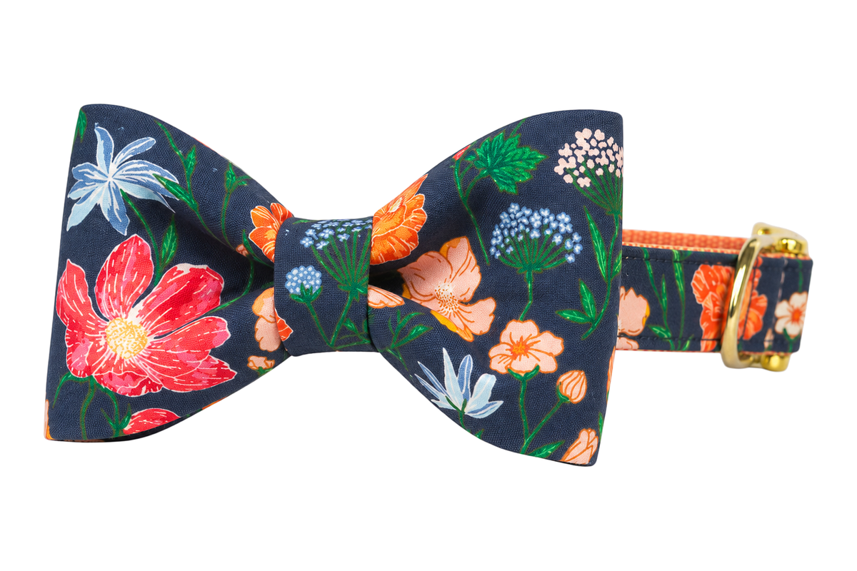 Classic dog collar featuring a Stately Stems fabric bow tie, a dark charcoal navy print with coral pink and orange poppies, blue and white blossoms and green stems, attached to a matching Stately Stems collar with a nylon inner lining and gleaming gold hardware, including a D-ring and buckle.