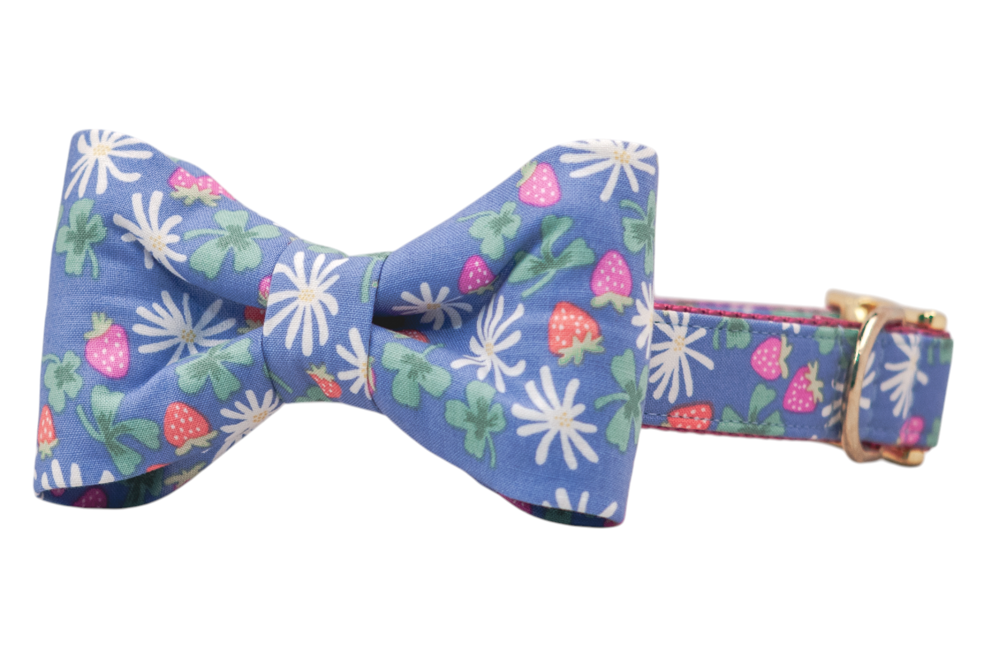 A dog collar with a periwinkle blue fabric bow tie, printed with a colorful pattern of strawberries, white daisies, and clover-shaped green leaves. The bow tie is centered on a matching collar, which includes a deep pink woven interior and shiny gold hardware, including a D-ring for leash attachment.