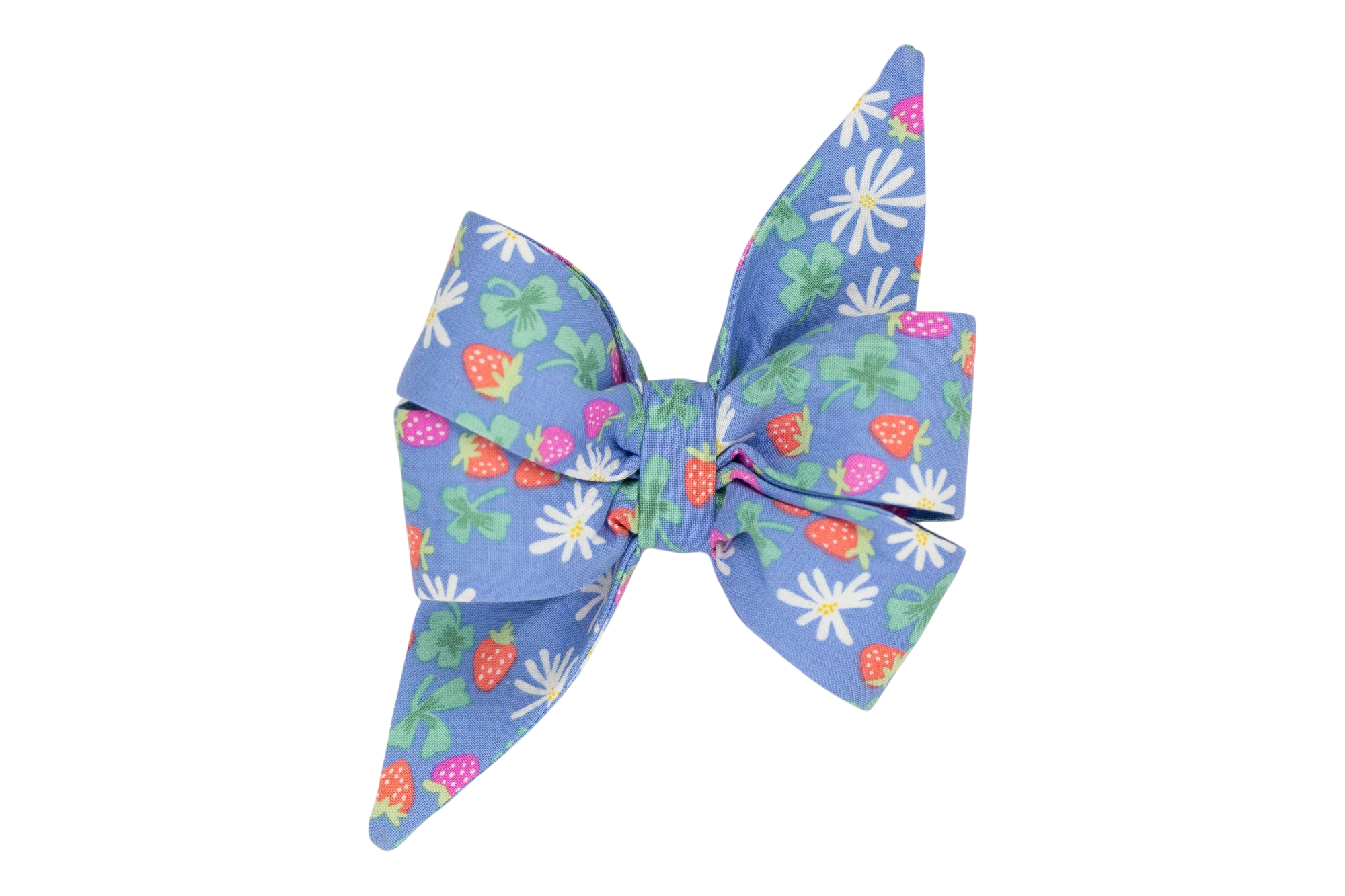 A handmade girl dog belle bow with a cheerful floral and strawberry pattern on a sky-blue background, perfect for spring and summer outings.