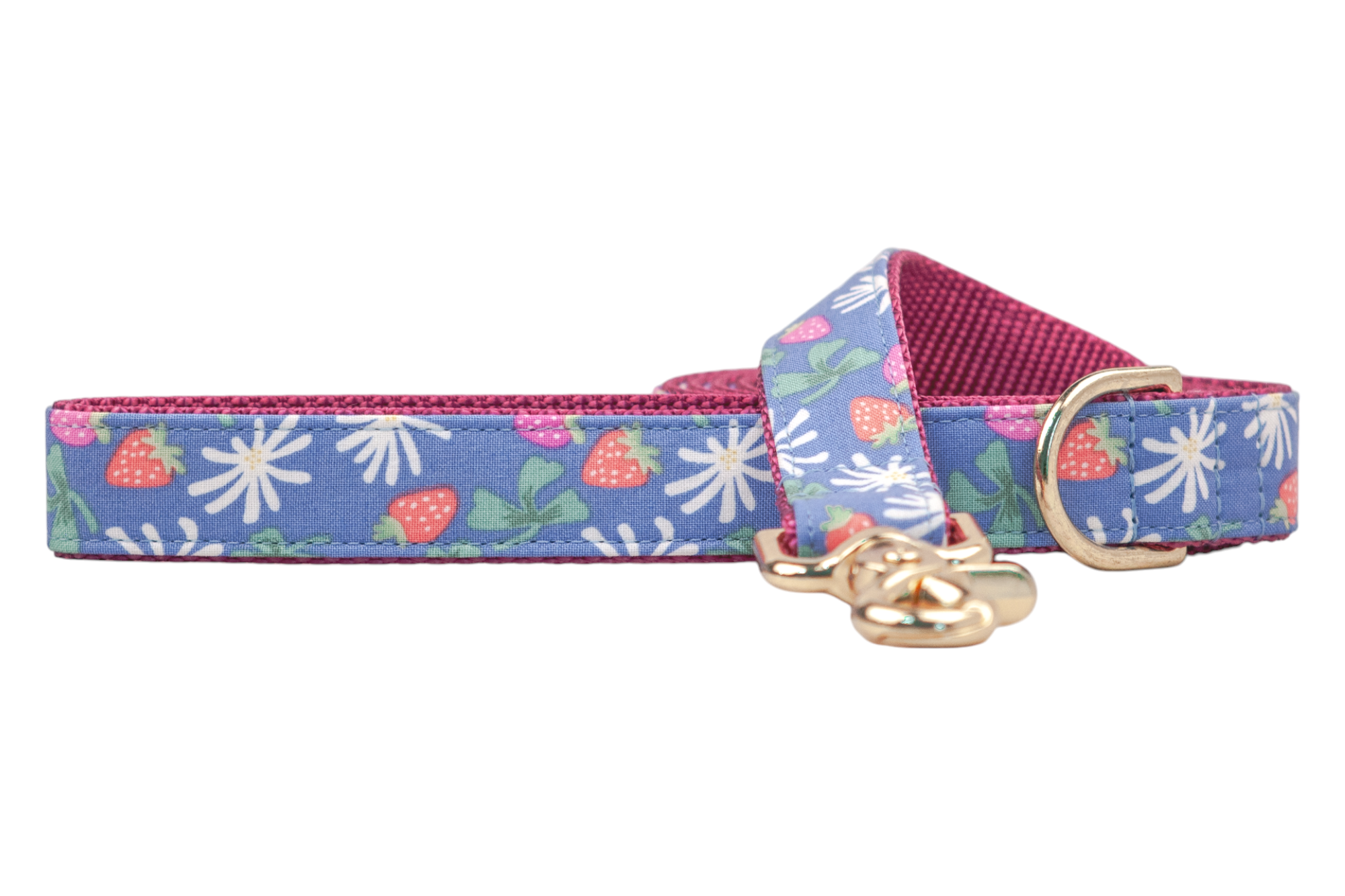 Colorful dog leash made from periwinkle blue fabric printed with a summery mix of strawberries, clovers, and white daisy flowers. The leash is backed with a deep pink webbing and features shiny gold hardware, including a clasp and a matching D-ring.