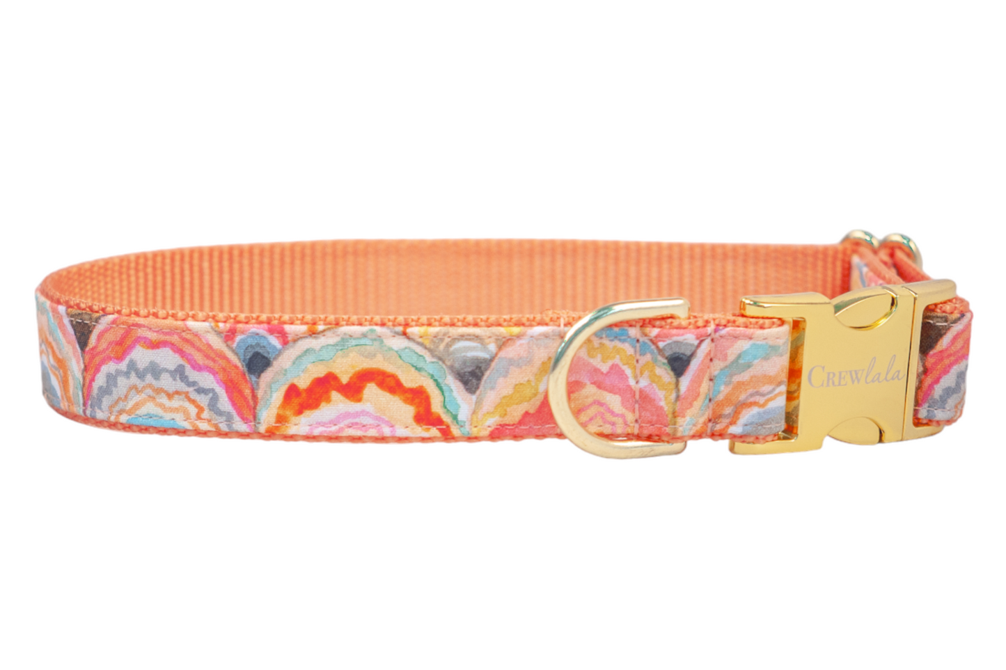 Dog collar with a vibrant scallop shell pattern in orange, pink, blue, and gold tones, featuring a shiny gold buckle and D-ring, and an orange webbing interior.