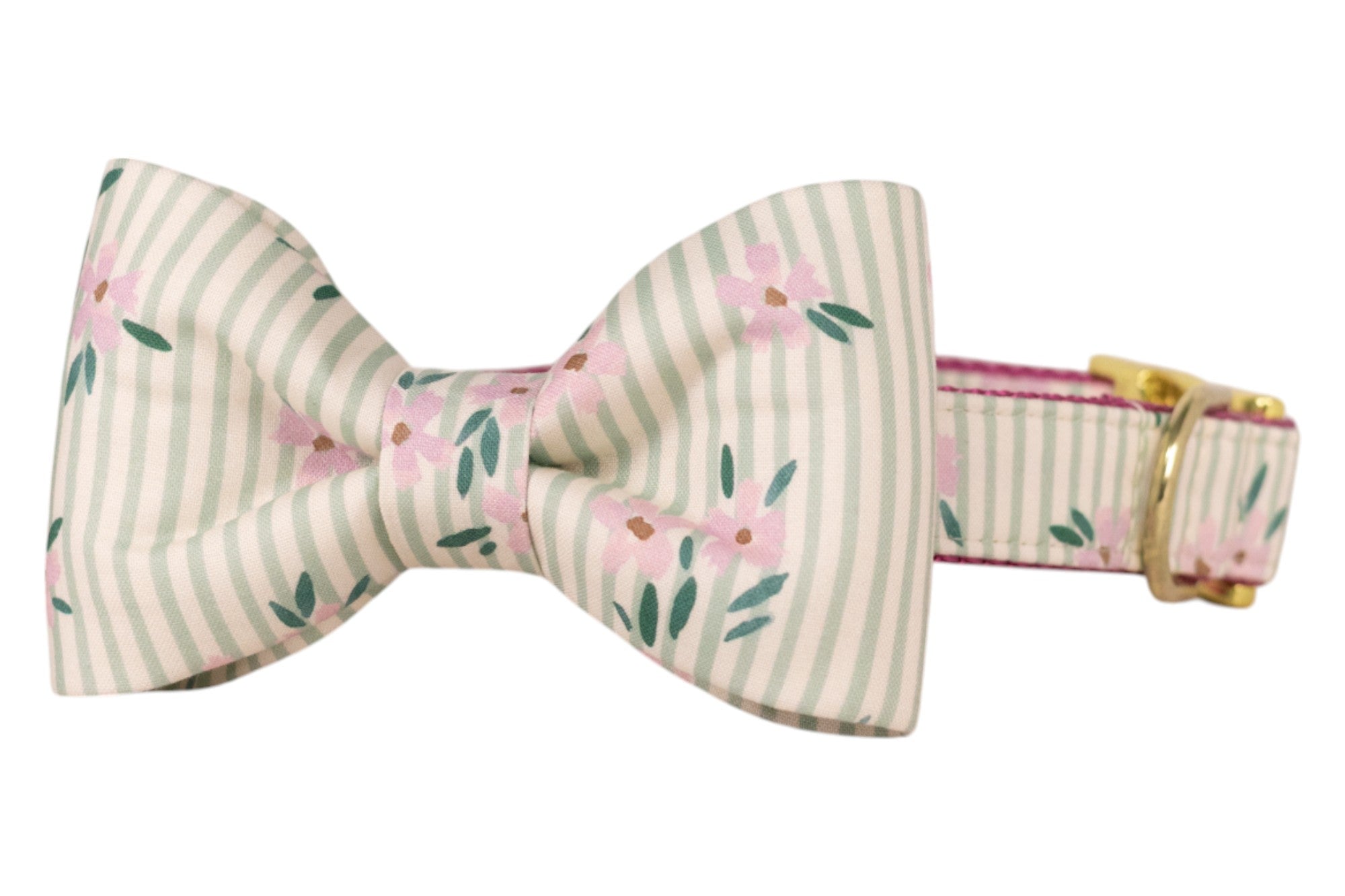 A pastel green and white striped dog collar with a matching attached bow tie, decorated with small pink flowers and green leaves, featuring a gold buckle.