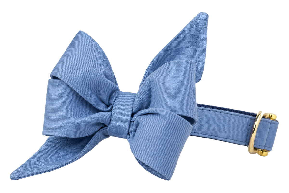 Dog collar featuring a large belle bow in Wedgewood fabric, a solid soft wedgewood blue, attached to a matching Wedgewood collar with a nylon inner lining and gleaming gold hardware, including a D-ring and buckle.