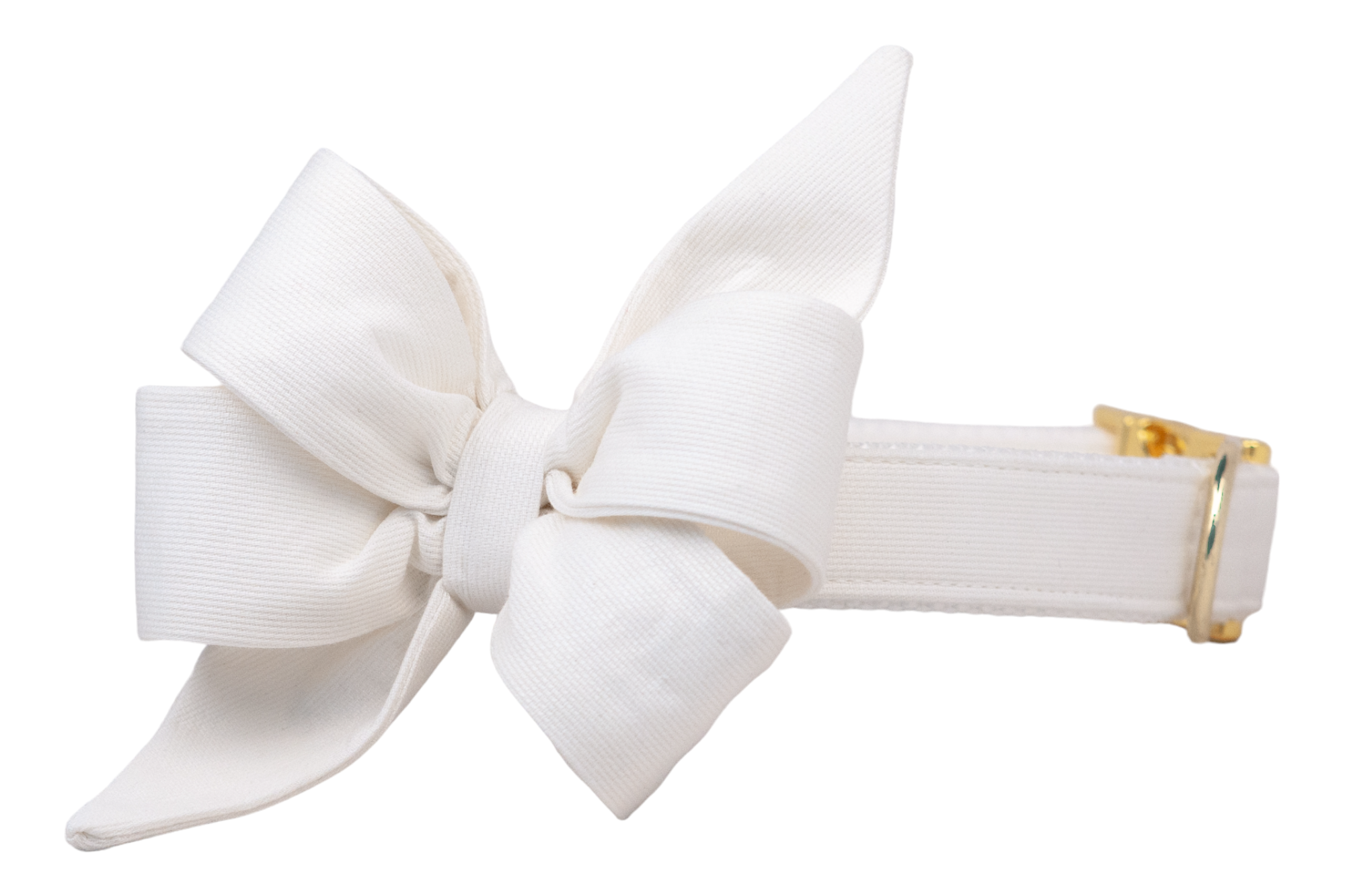 Elegant white dog collar with an attached oversized, sculptural bow and shiny gold-tone hardware, designed for formal occasions or bridal looks.