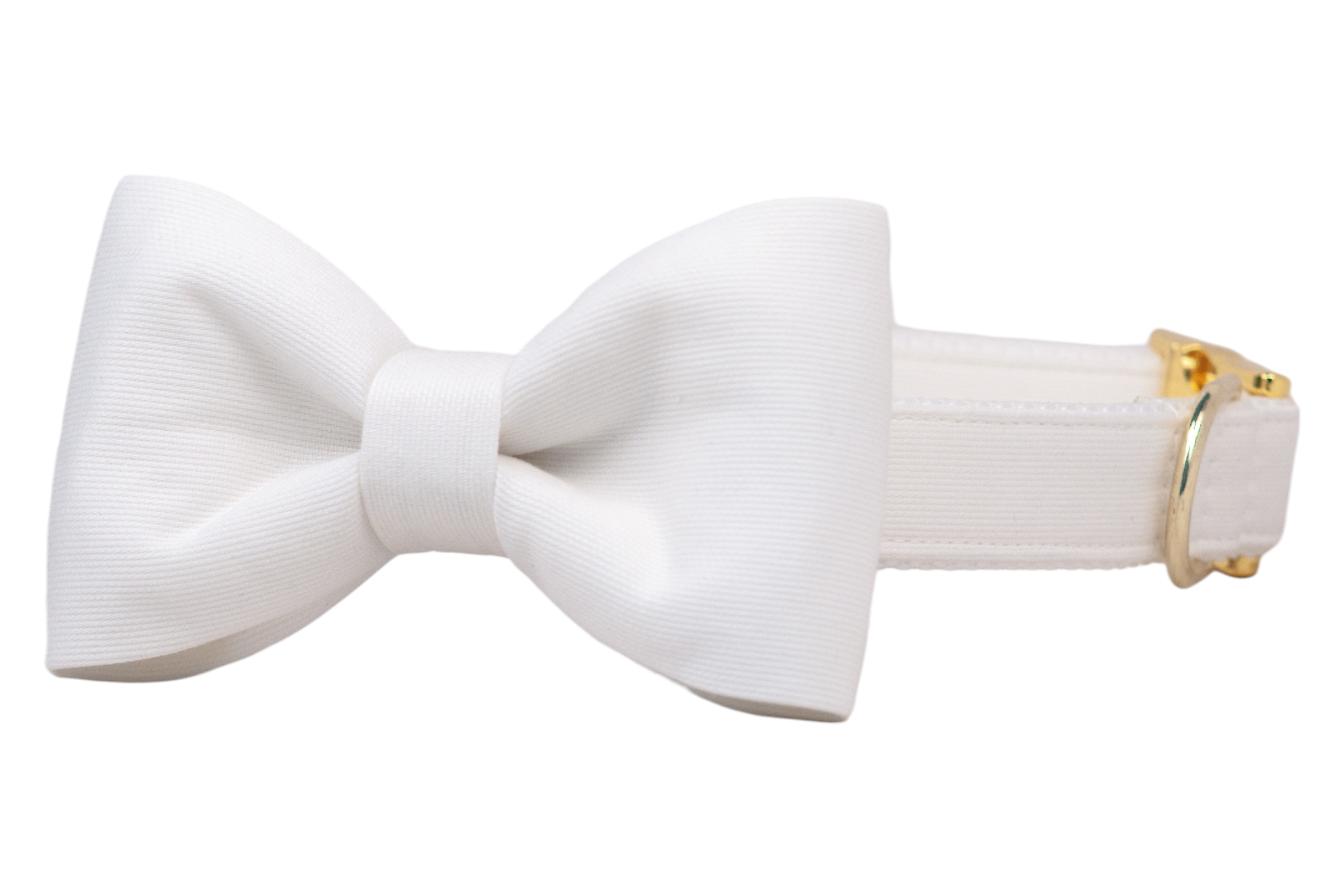 A white dog collar with an attached classic white bow tie, featuring polished gold hardware including a D-ring and side-release buckle, shown against a white background.