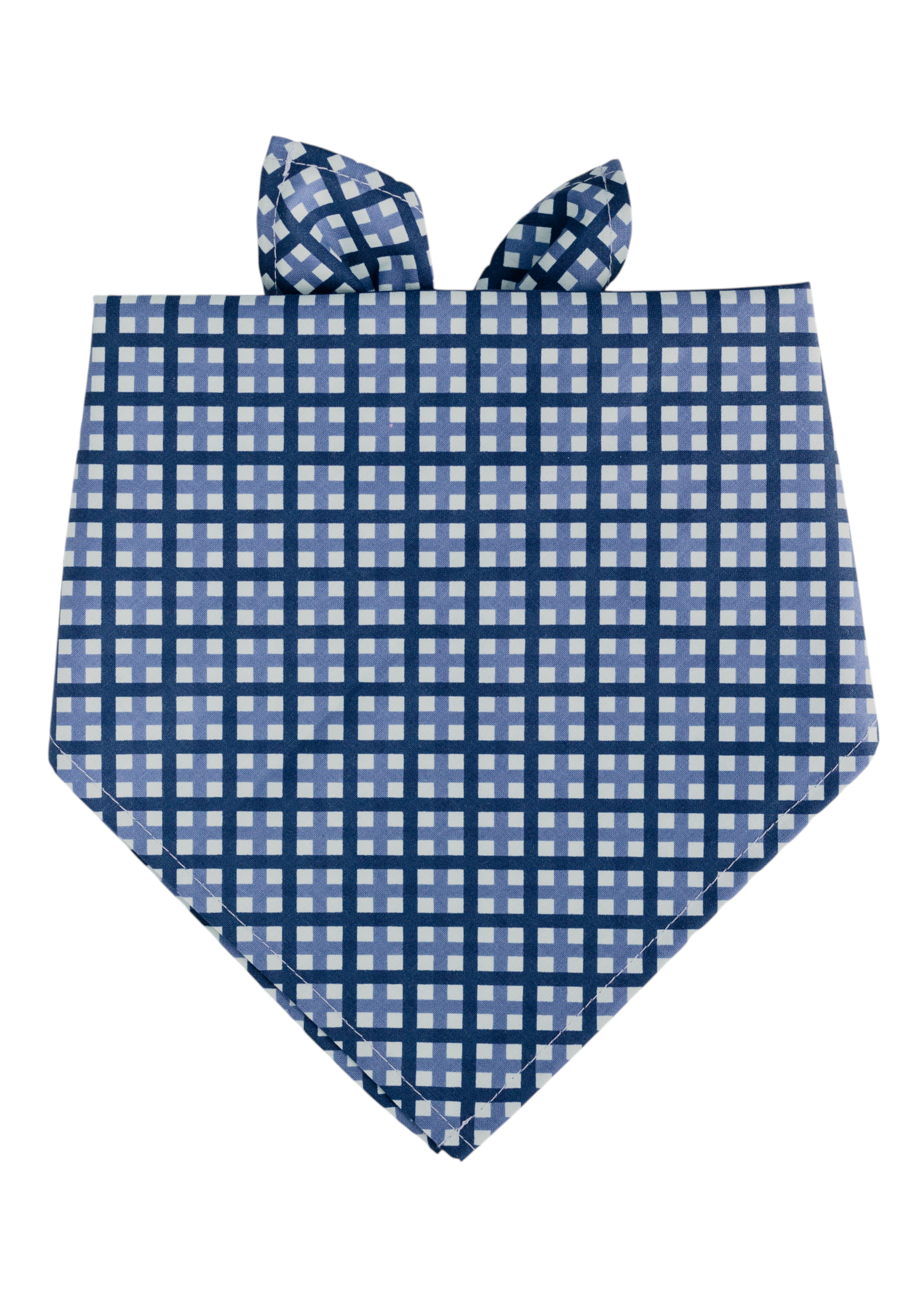 Blue plaid dog bandana in a classic triangle fold, featuring a grid-like pattern in light and dark blue. The top ends are tied into a simple knot, giving it a stylish and tidy look.