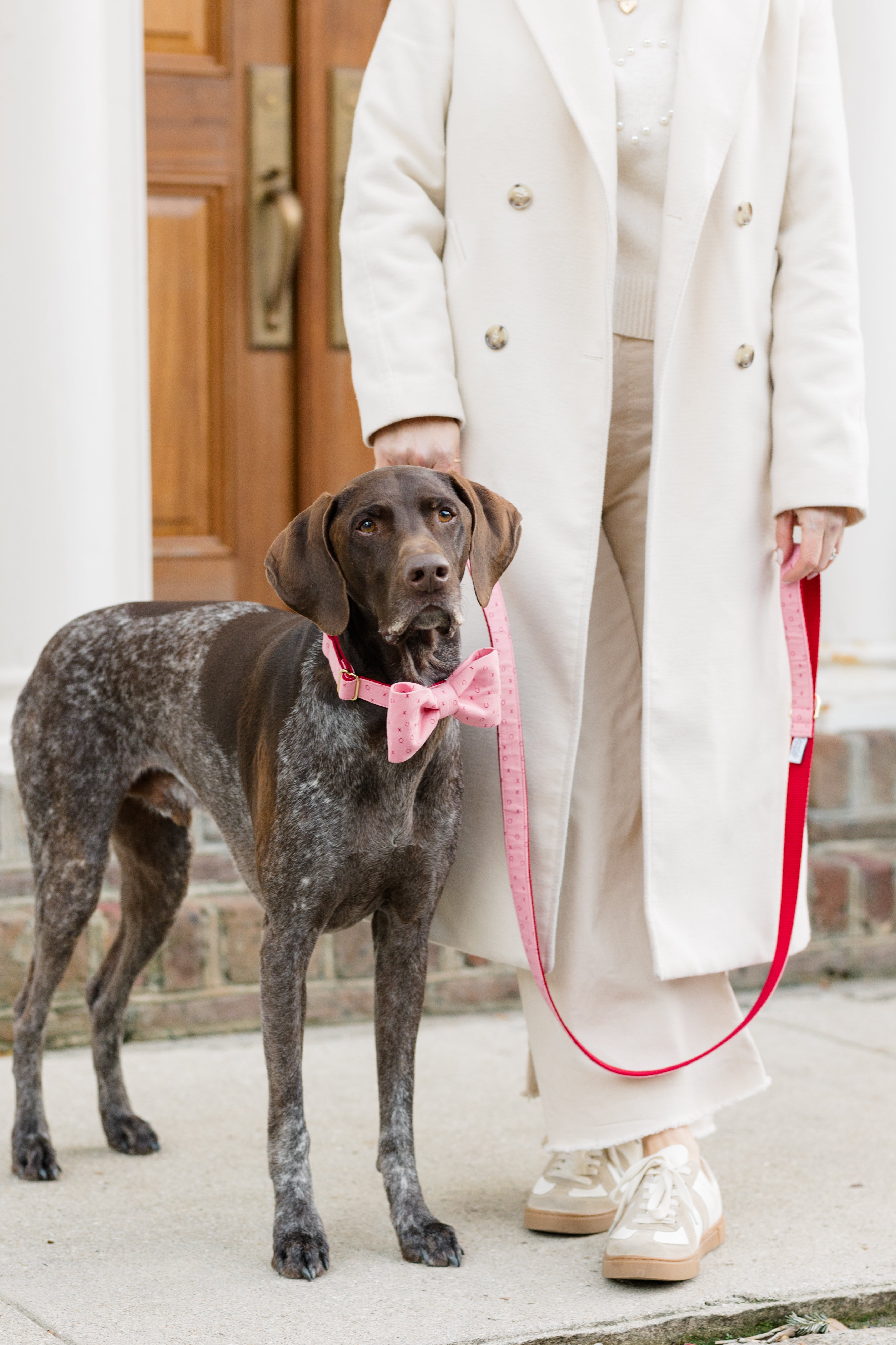 Shorthaired dog wearing a light pink fabric bow tie decorated with miniature X and O symbols, matching its pink leash and collar set.