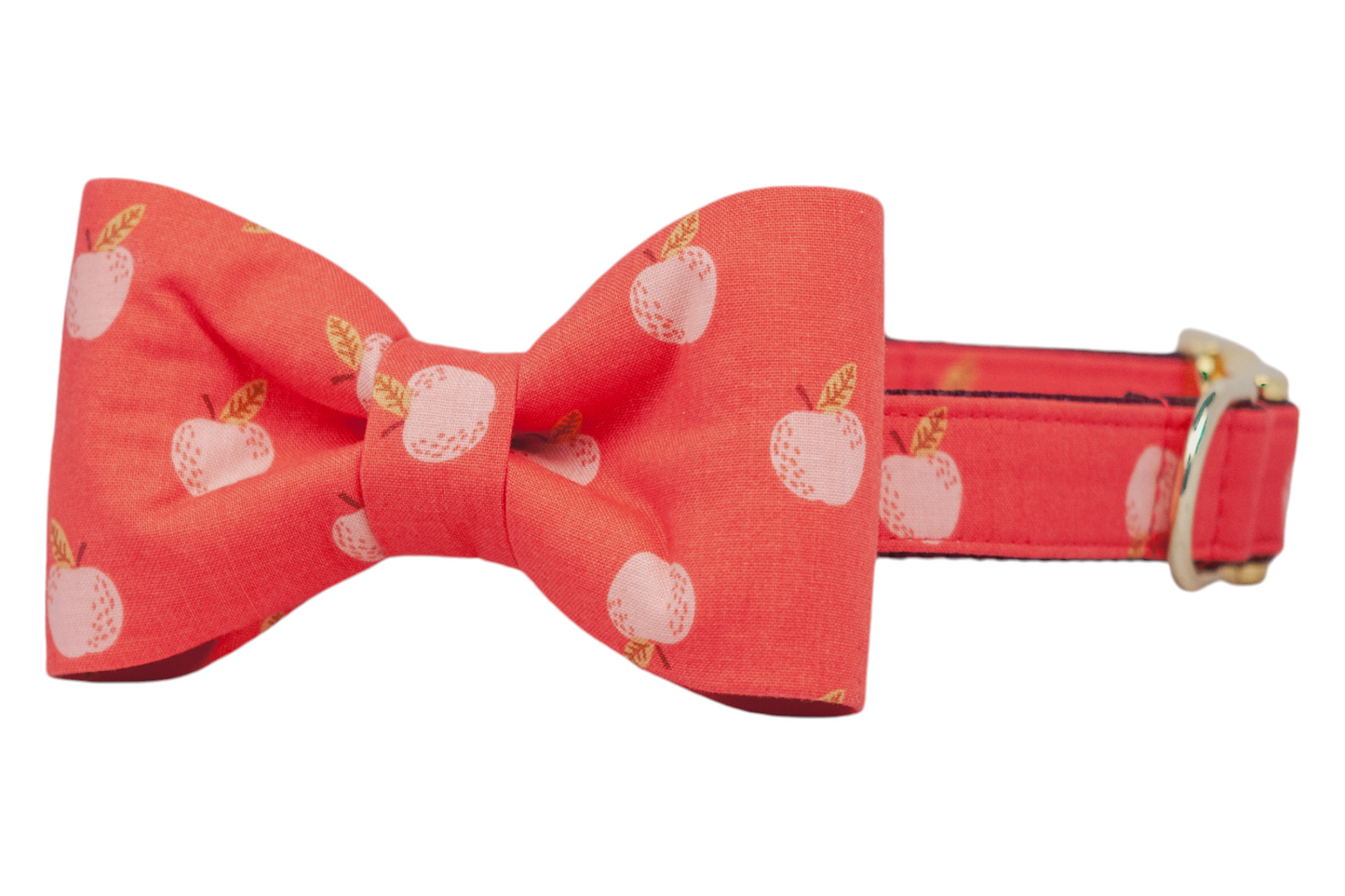 Gala Apples Bow Tie Dog Collar
