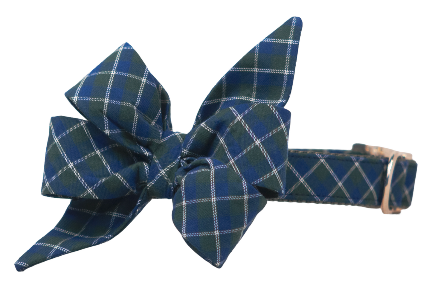 Book Club Belle Bow Dog Collar - Crew LaLa