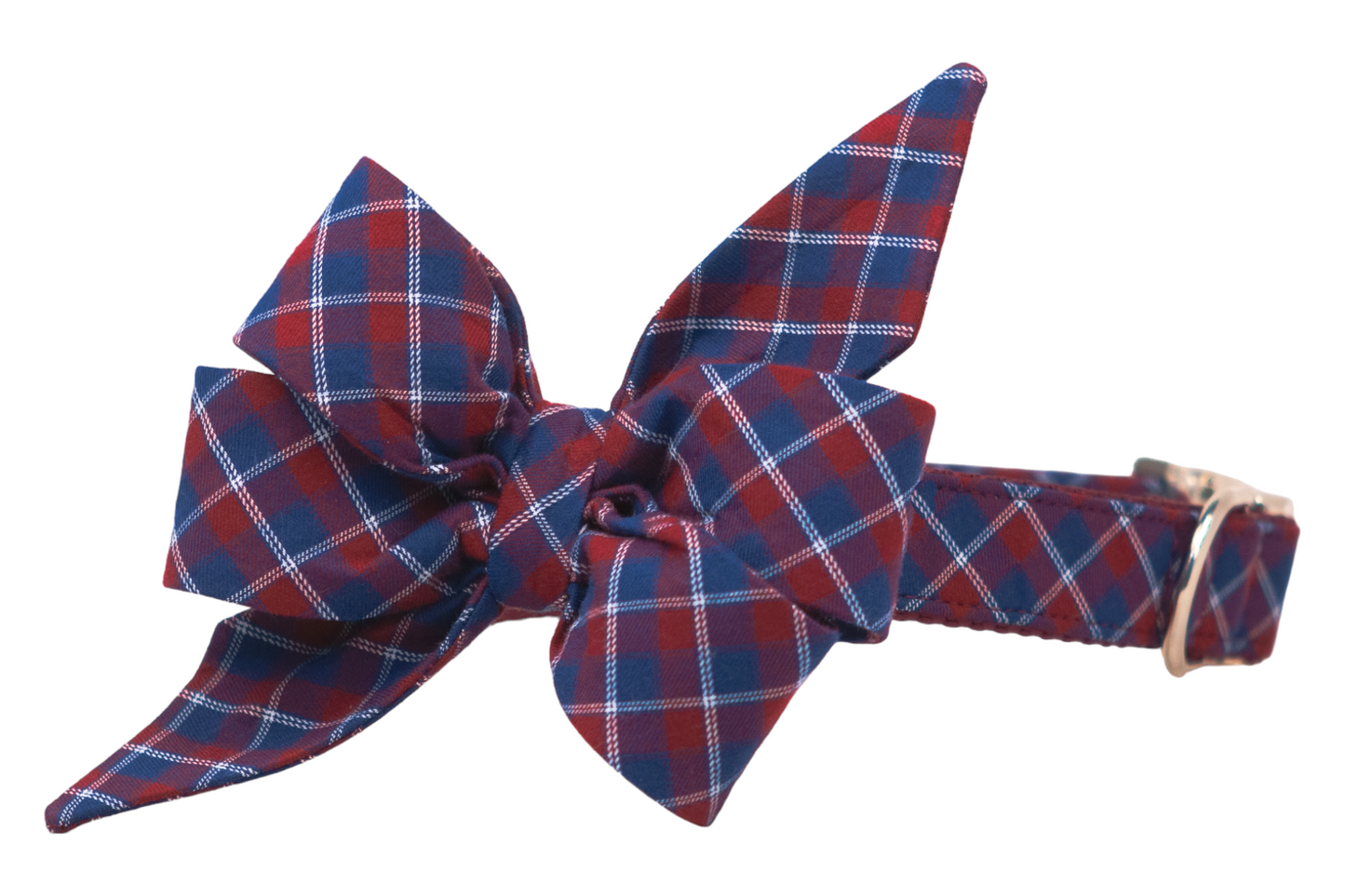 Country Club Belle Bow Dog Collar - Crew LaLa