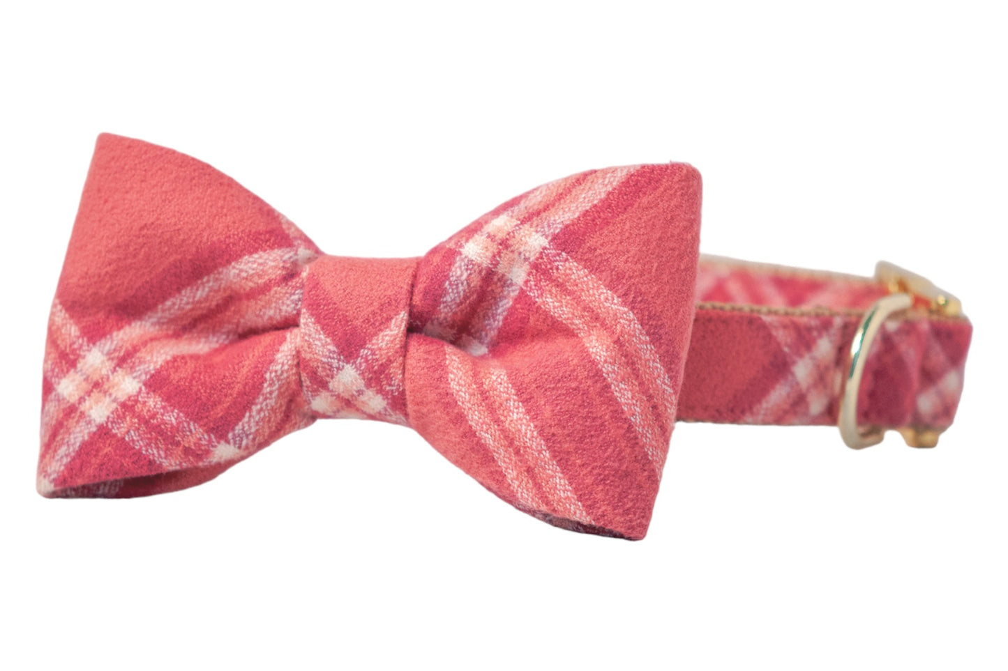 Mount Rose Bow Tie Dog Collar