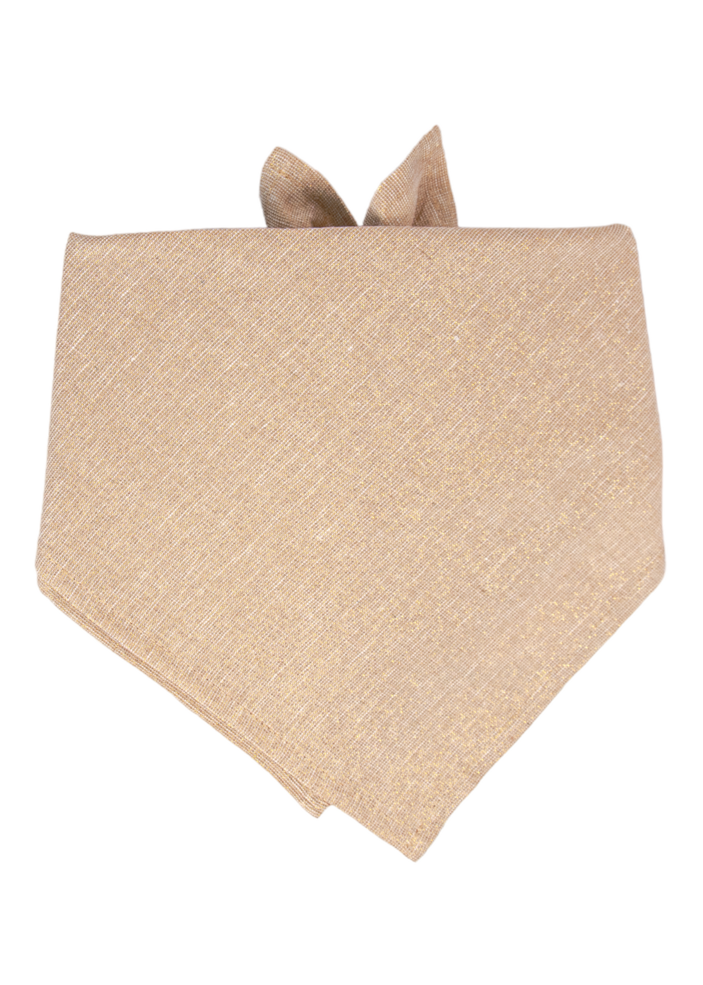 Gold Glitter Dog Bandana - Crew LaLa