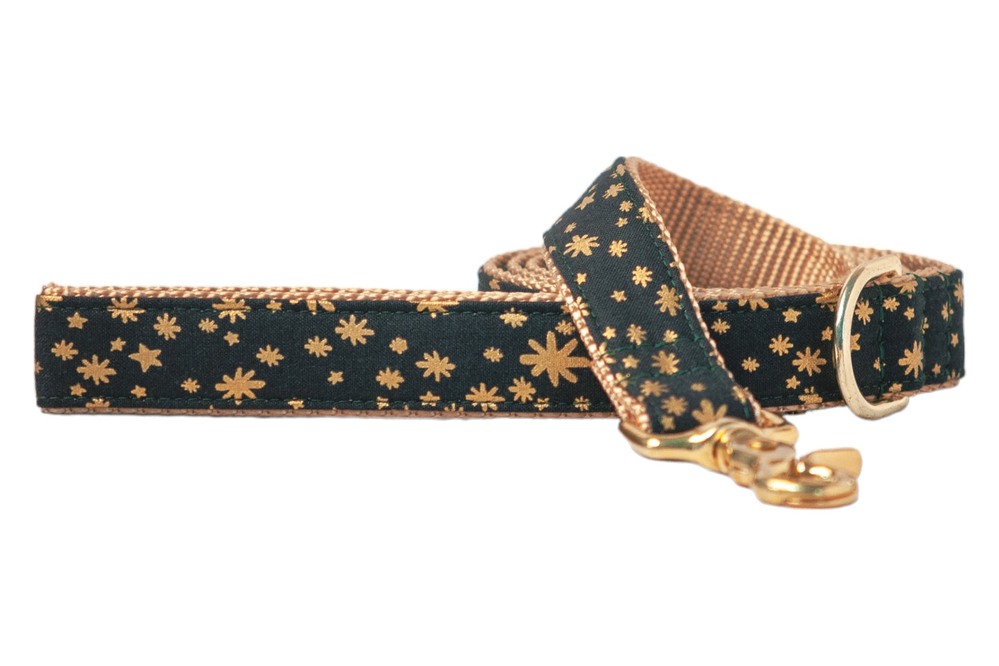 Winter Night Leash