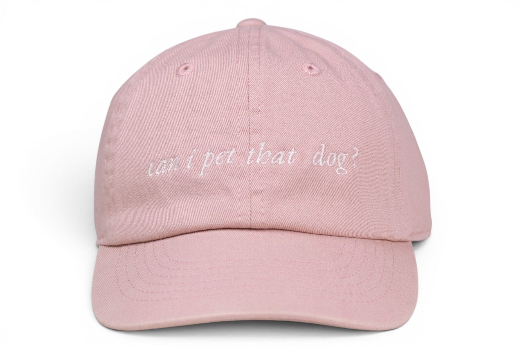 KIDS can i pet that dog? Baseball Hat