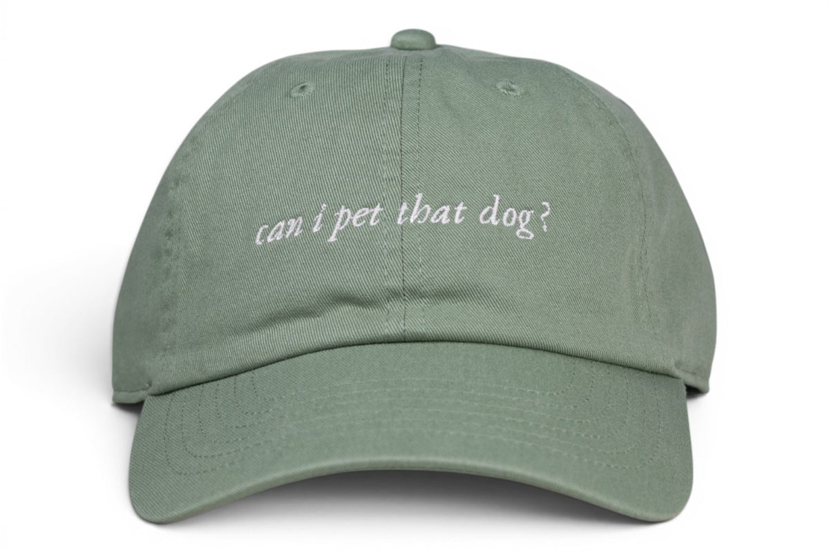 Green can i pet that dog? Baseball Hat