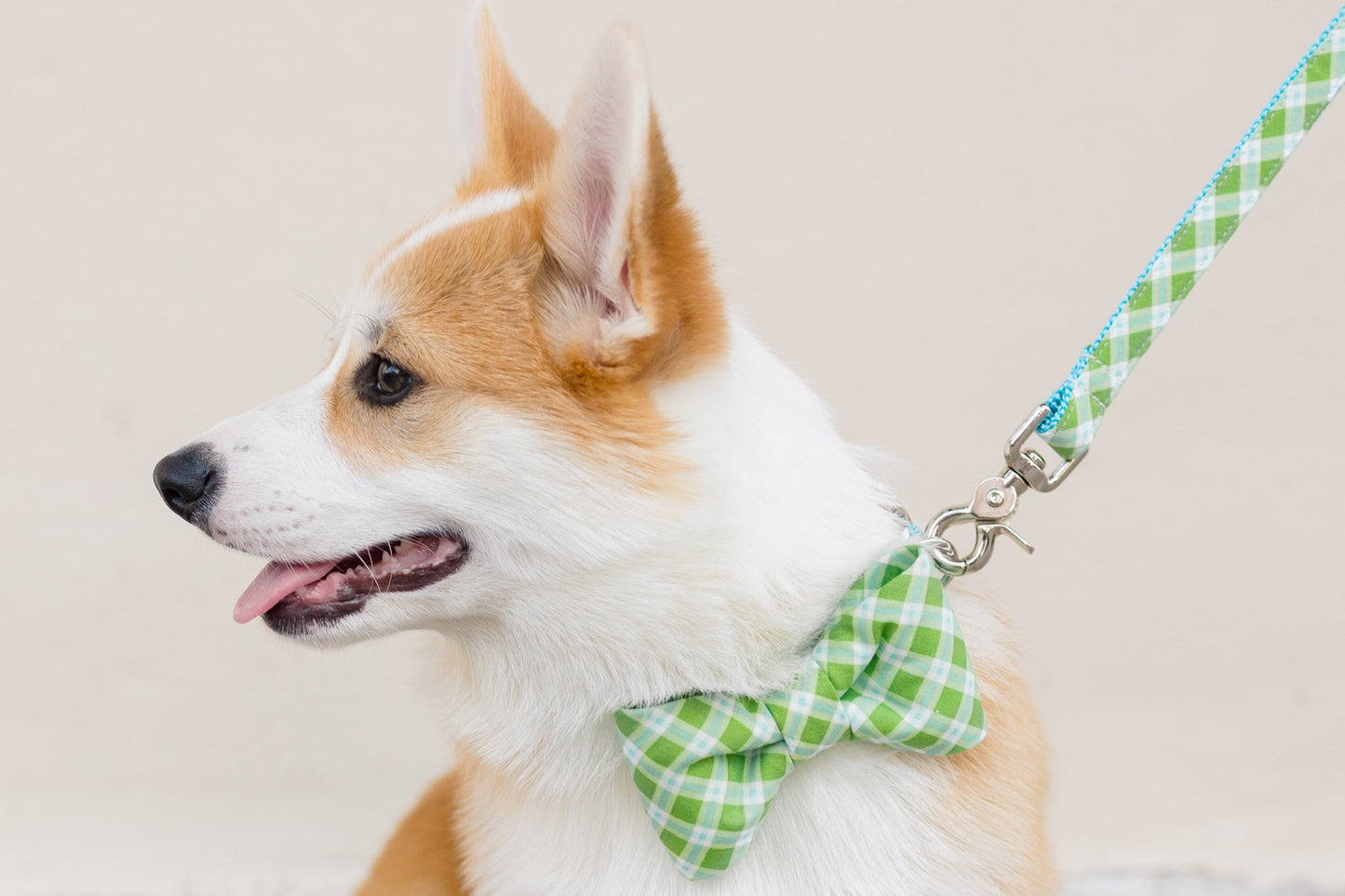 Limeade Plaid Bow Tie Dog Collar - Crew LaLa