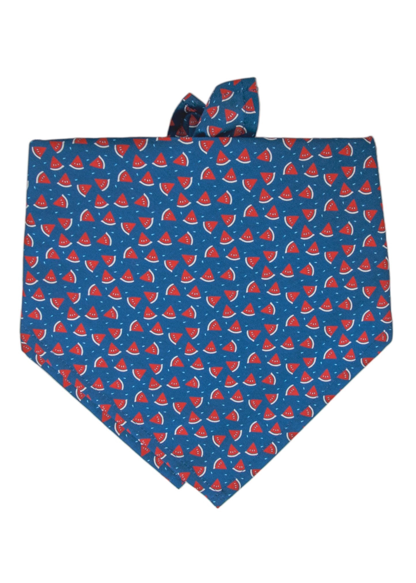 Watermelon Toss Dog Bandana - Crew LaLa