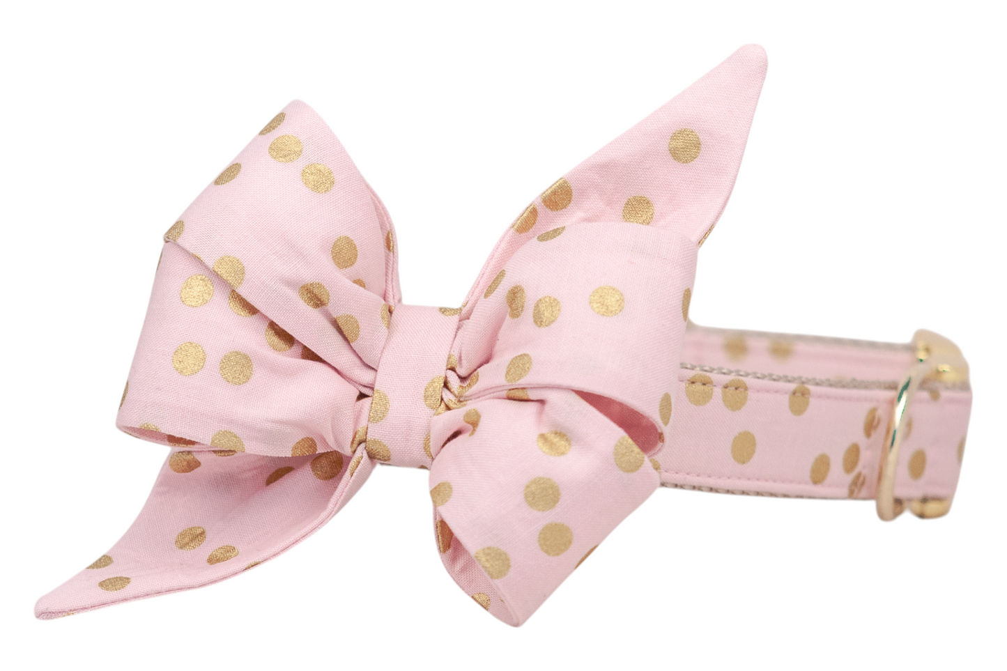 Pink Party Dot Belle Bow Dog Collar - Crew LaLa