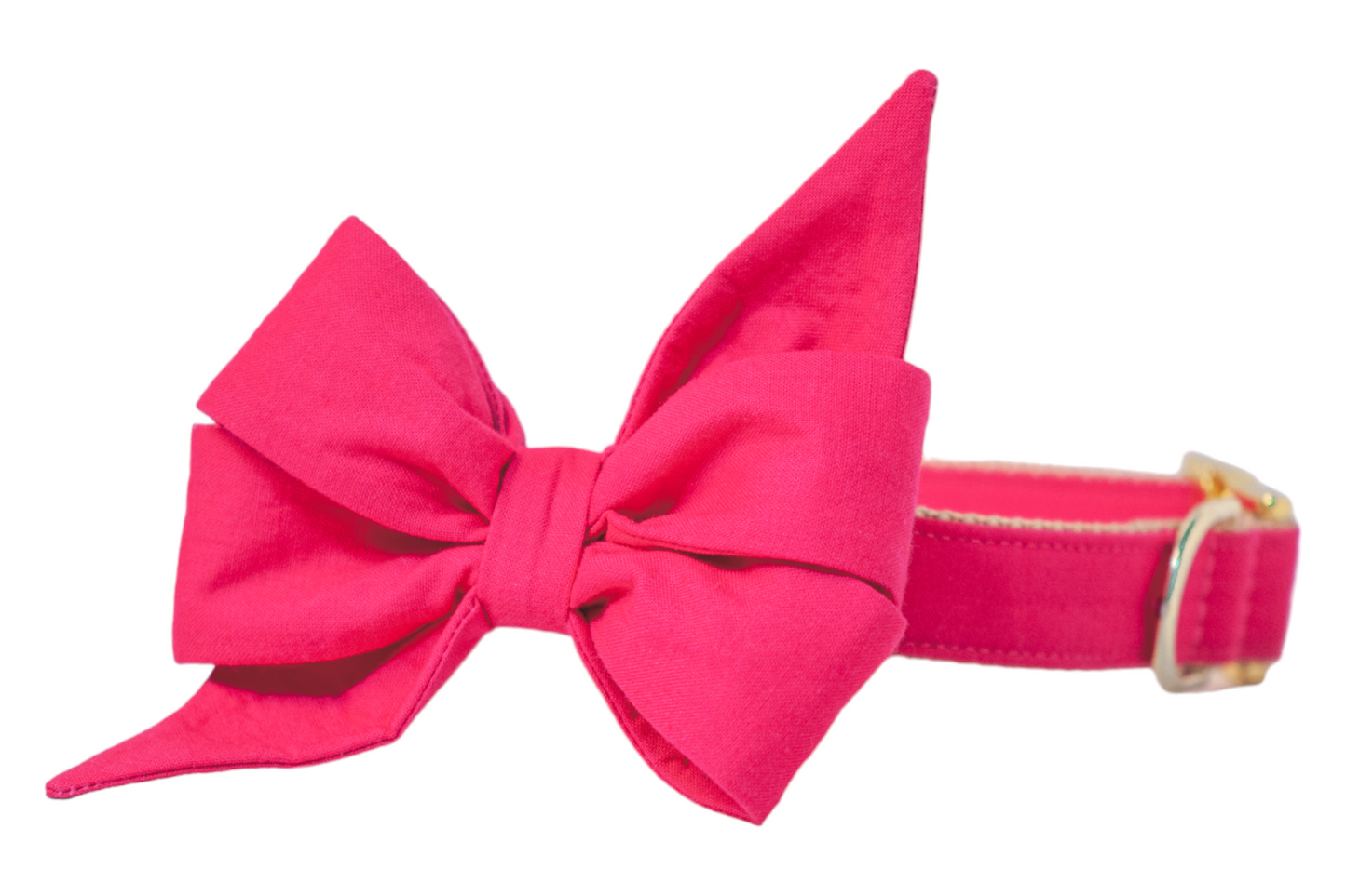 Pomegranate Belle Bow Dog Collar - Crew LaLa