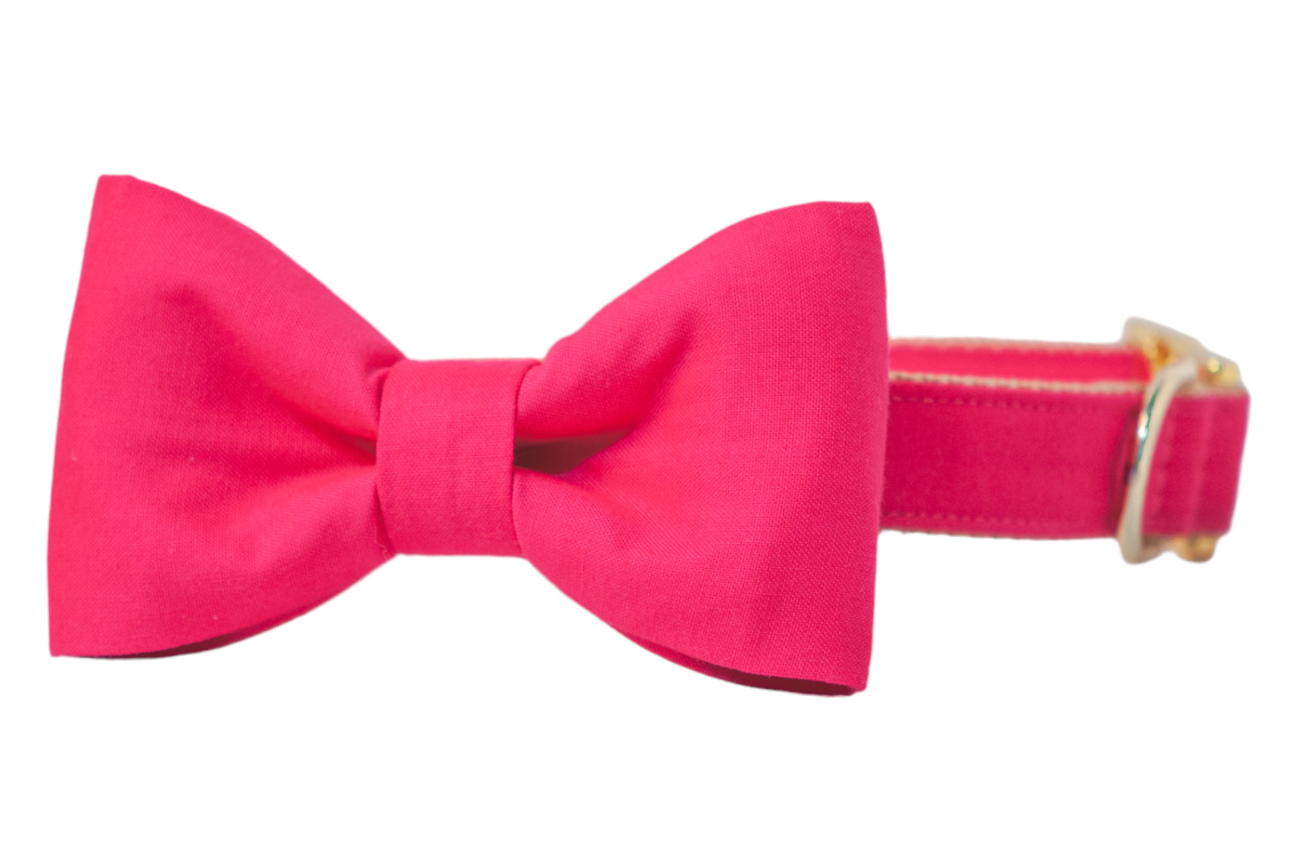 Pomegranate Bow Tie Dog Collar - Crew LaLa