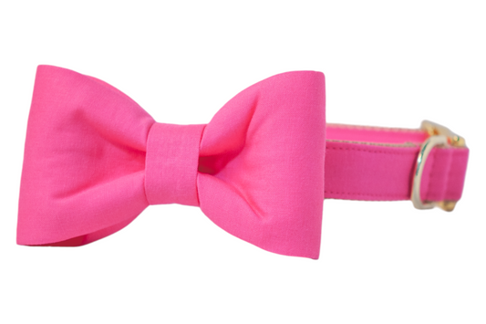 Azalea Pink Bow Tie Dog Collar - Crew LaLa