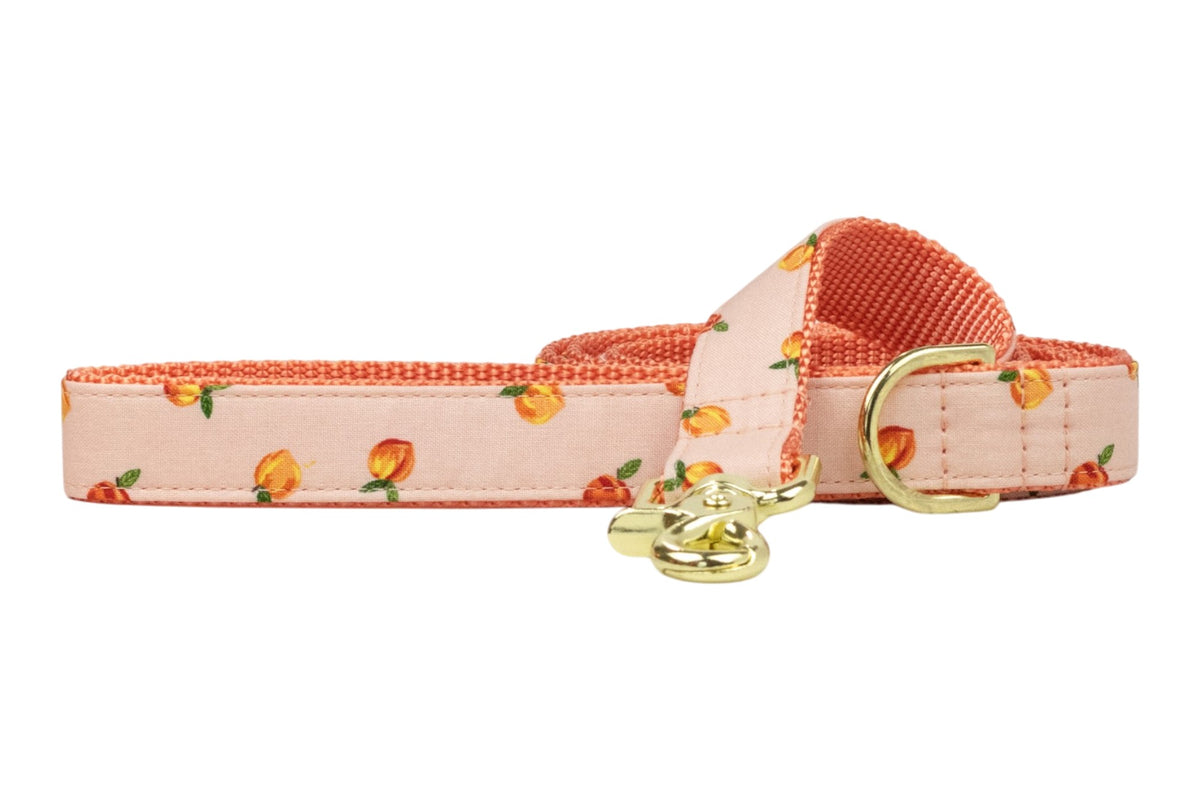 Carolina Peach Dog Leash