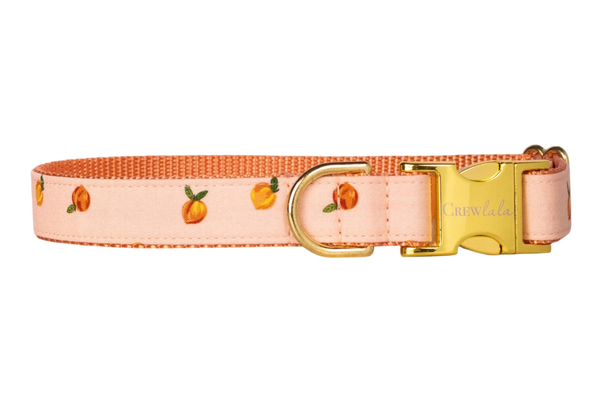 Carolina Peach Dog Collar