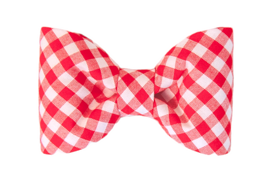 Red Picnic Plaid Bow Tie - Crew LaLa