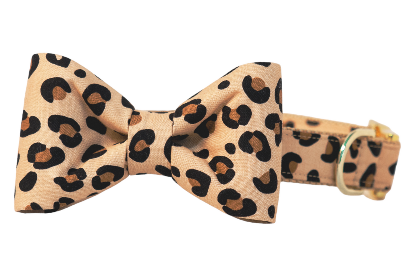 Party Animal Bow Tie Dog Collar - Crew LaLa